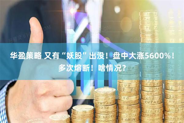 华盈策略 又有“妖股”出没！盘中大涨5600%！多次熔断！啥情况？