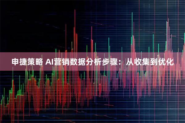 申捷策略 AI营销数据分析步骤：从收集到优化