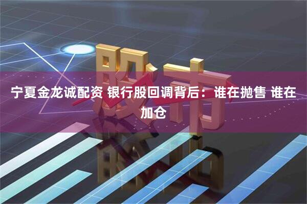 宁夏金龙诚配资 银行股回调背后：谁在抛售 谁在加仓