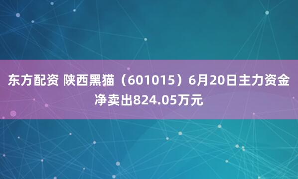 东方配资 陕西黑猫（601015）6月20日主力资金净卖出824.05万元