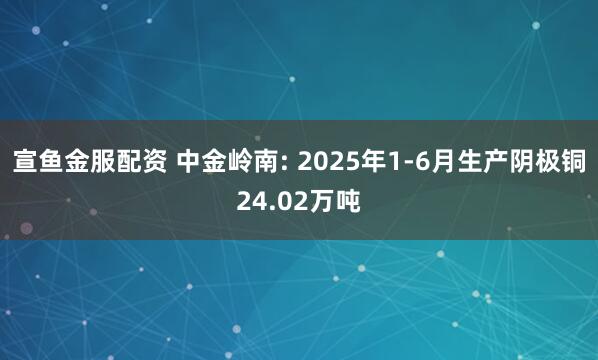 宣鱼金服配资 中金岭南: 2025年1-6月生产阴极铜24.02万吨
